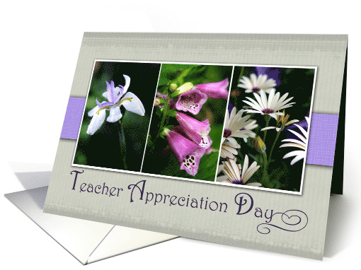 Teacher Appreciation Day with Purple Flower Snapshots card (984677)