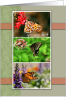 Butterfy Photos- Encouragement Card