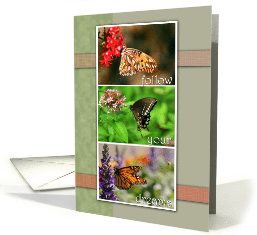 Butterflies, Follow your Dreams card (984707)