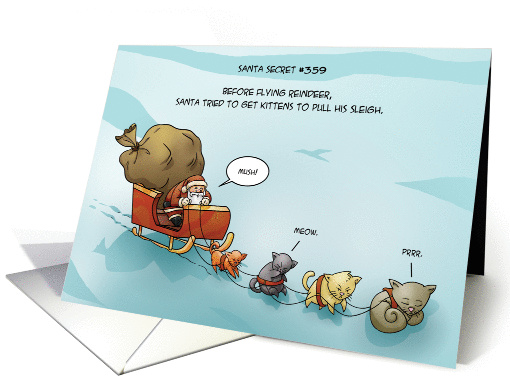 santa secret #359 card (365606)
