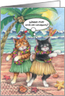 Happy Birthday Hula Dance Cats (Bud & Tony) card