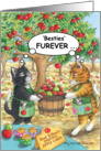 Best Friend Birthday Cats (Bud & Tony) card