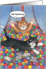 Cats Colored Ball Playroom Birthday (Bud & Tony) card