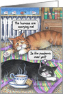 Coronavirus Cats Thinking Of You Encouragement Humor card