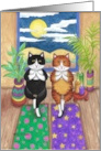 Bud and Tony Cats Yoga Birthday Humor card