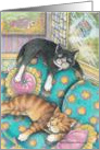 Cats Napping On Sofa Birthday (Bud & Tony) card
