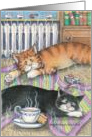 Cats Dreaming On Warm Blanket Birthday (Bud & Tony) card