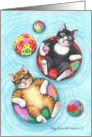 Swimming Pool Cats Birthday (Bud & Tony) card