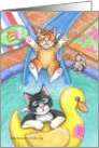 Swimming Pool Slide Birthday Cats(Bud & Tony) card