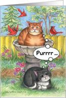 Purring Happy Birthday Cats (Bud & Tony) card