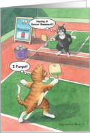 Cat Pickleball...