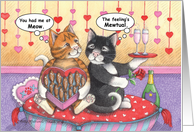 Cat Romance Anniversary (Bud & Tony) card