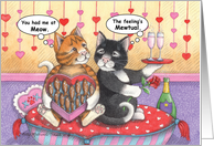 Cat Romance Valentine (Bud & Tony) card