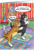 Cats Yoga Humor Birthday (Bud & Tony) card