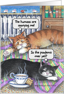 Coronavirus Cats Thinking Of You Encouragement Humor card