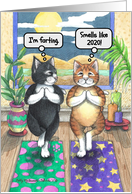 Coronavirus Pandemic Yoga Cats Encouragement Humor card