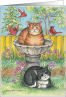 Cats In Birdbath Friendship (Bud & Tony) card