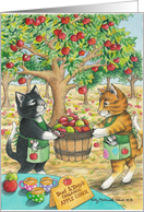 Cats Apple Picking Birthday (Bud & Tony) card