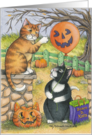 Cats Trick Or Treat...