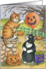 Cats Trick Or Treat Halloween (Bud & Tony) card