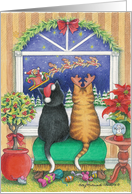 Cats Christmas Eve ...