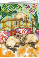 Siamese Cats On Hawiian Quilt Birthday EK #6 card