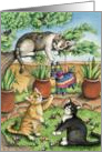 Cats W/Pinata Birthday EK #12 card