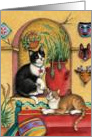 Cats In Mexican Patio Birthday EK #13 card