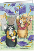 Cats At Graduation ...