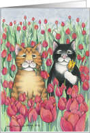 Cats Tulip Garden...
