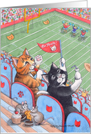 Cats At Football...