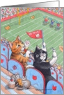 Cats At Football Stadium Birthday (Bud & Tony) card