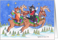 Cats On Flying Reindeer Christmas (Bud & Tony) card
