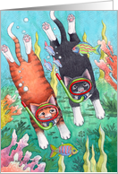 Cats Snorkeling...