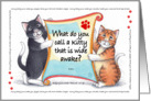 Cat Humor Korny Kitties Birthday Cats ’Catsup’ card