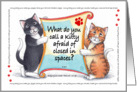 Cat Humor Korny Kitties Birthday Cats ’Claws’trophobic card