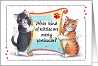 Cat Humor Korny Kitties Birthday Cats ’Purr’fectionists card