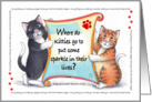 Cat Humor Korny Kitties Birthday Cats ’Glitter Box’ card