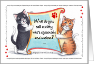 Cat Humor Korny Kitties Birthday Cats ’Bureaucat’ card