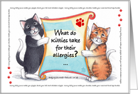 Cat Humor Korny Kitties Birthday Cats anti’hiss’tamines card