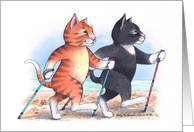 Cats Nordic Walking...