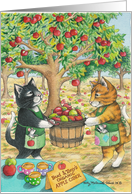 Cats & Teacher’s Aide Birthday (Bud & Tony) card