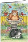 Birthday Cats In Birdbath (Bud & Tony) card