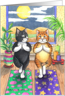 Yoga Cats Birthday (Bud & Tony) card