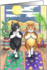 Yoga Cats Birthday (Bud & Tony) card