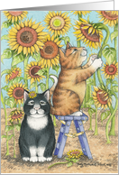 Sunflower Garden Cats Invitation (Bud & Tony) card