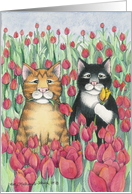 Tulip Garden Party Cats Invitation (Bud & Tony) card