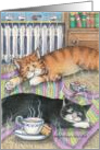 Slumber Party Cats Invitation (Bud & Tony) card