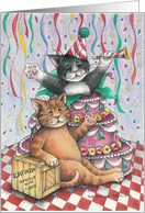 Birthday Party Cats...