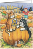 Thanksgiving Cats Invitation (Bud & Tony) card